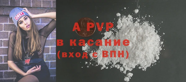 спиды Богородицк