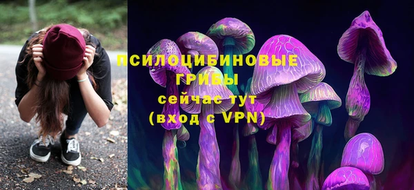 стаф Балахна