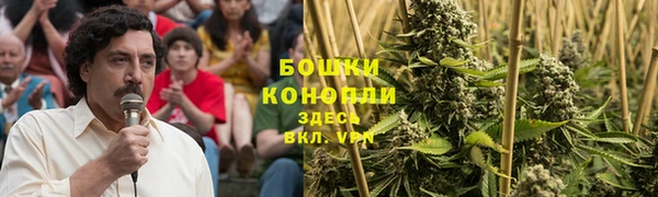 стаф Балахна