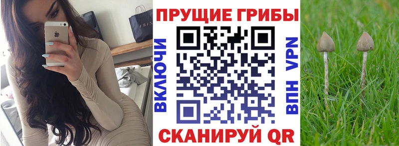 мега как найти закладки Мантурово Галлюциногенные грибы прущие грибы